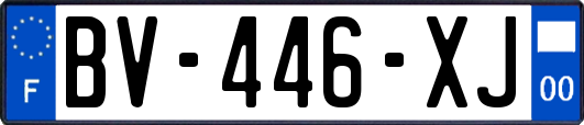 BV-446-XJ