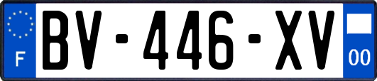 BV-446-XV