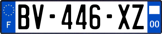 BV-446-XZ