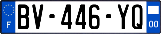 BV-446-YQ