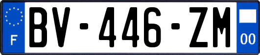 BV-446-ZM