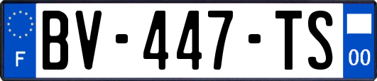 BV-447-TS