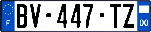 BV-447-TZ