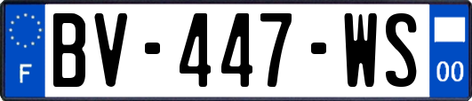 BV-447-WS