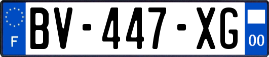 BV-447-XG