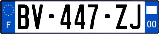 BV-447-ZJ