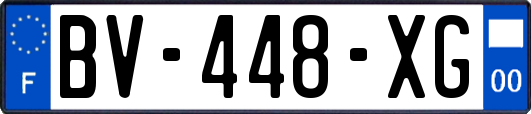 BV-448-XG