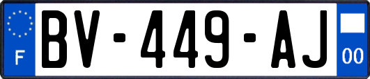 BV-449-AJ