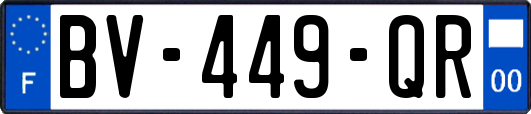 BV-449-QR