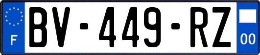 BV-449-RZ