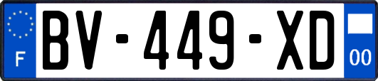 BV-449-XD