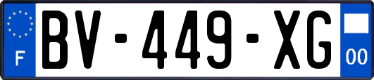 BV-449-XG