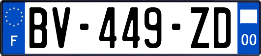 BV-449-ZD