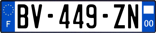 BV-449-ZN