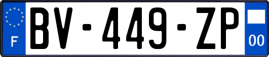 BV-449-ZP