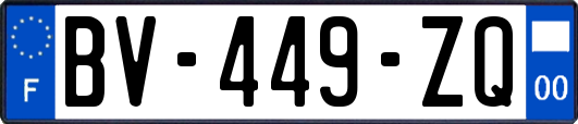 BV-449-ZQ