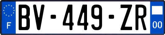 BV-449-ZR