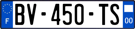 BV-450-TS