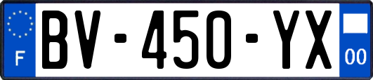 BV-450-YX