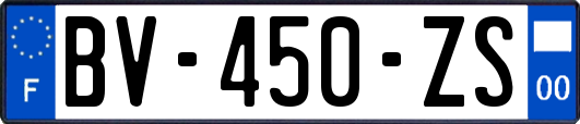 BV-450-ZS