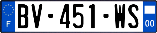 BV-451-WS