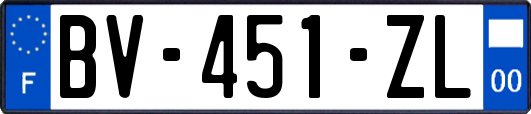 BV-451-ZL