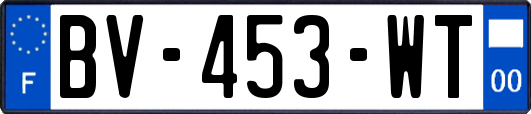 BV-453-WT