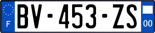 BV-453-ZS