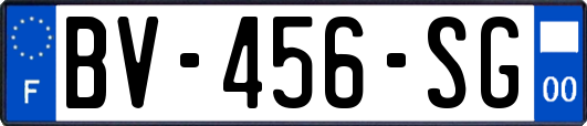 BV-456-SG