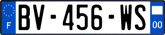 BV-456-WS