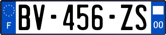 BV-456-ZS