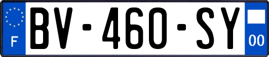 BV-460-SY