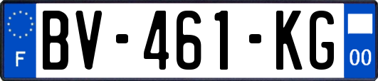 BV-461-KG