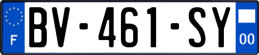 BV-461-SY