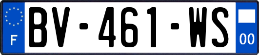 BV-461-WS