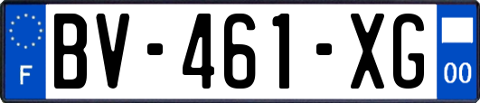 BV-461-XG