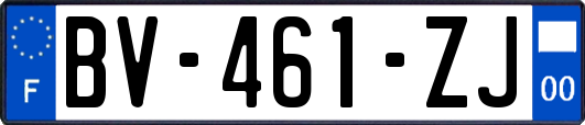 BV-461-ZJ