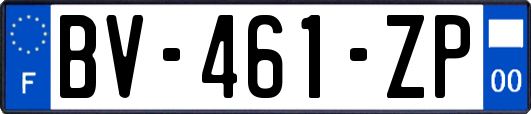 BV-461-ZP