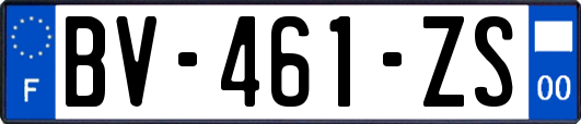 BV-461-ZS