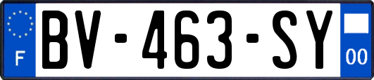 BV-463-SY