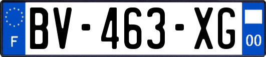 BV-463-XG