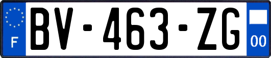 BV-463-ZG