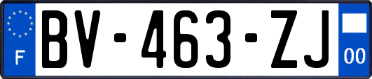 BV-463-ZJ