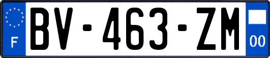 BV-463-ZM