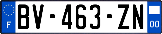 BV-463-ZN