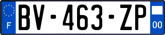 BV-463-ZP