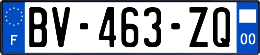 BV-463-ZQ