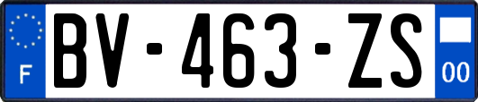 BV-463-ZS