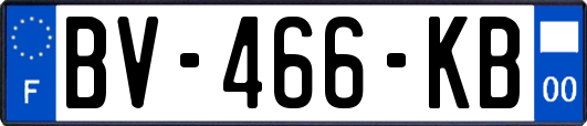 BV-466-KB