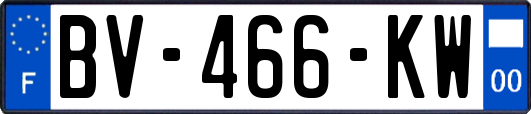 BV-466-KW